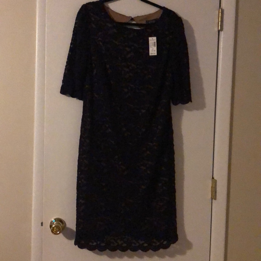 Dress Barn dress